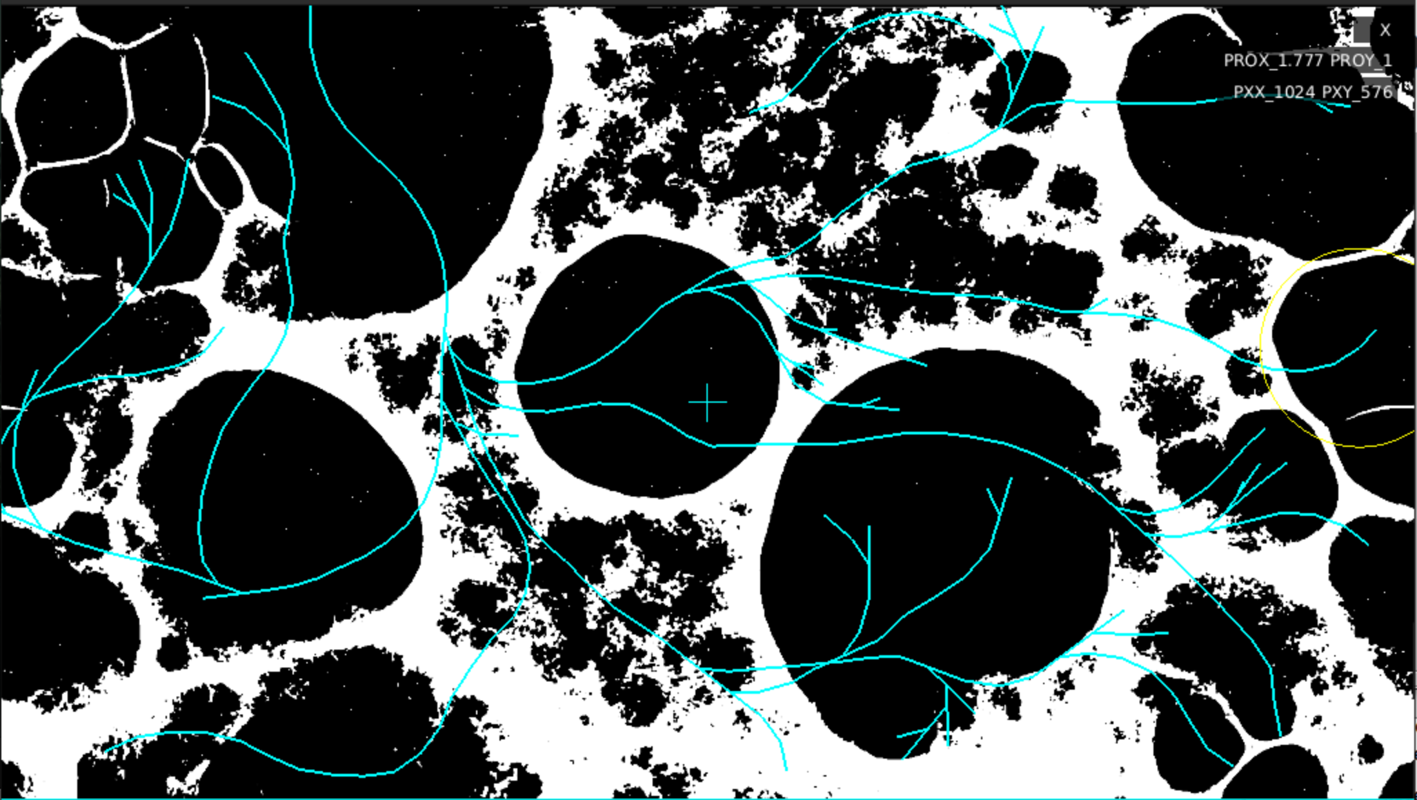 Space Colonizing Algorithm