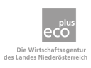 Logo-small_Ecoplus_Zeichenfläche 1